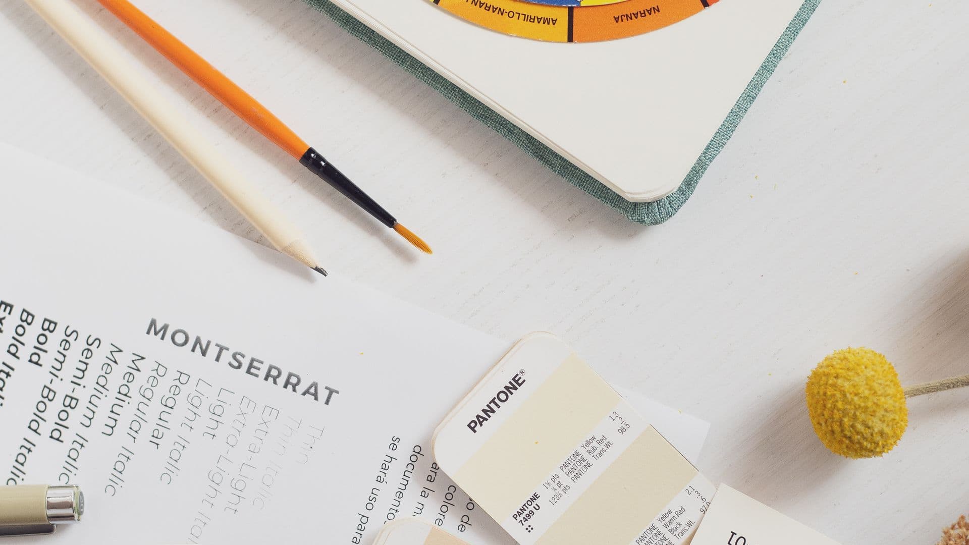 Branding & Identity