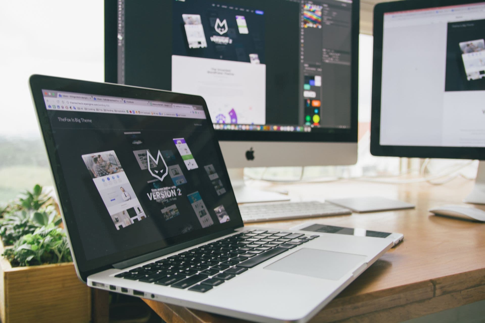 Web Design & Development